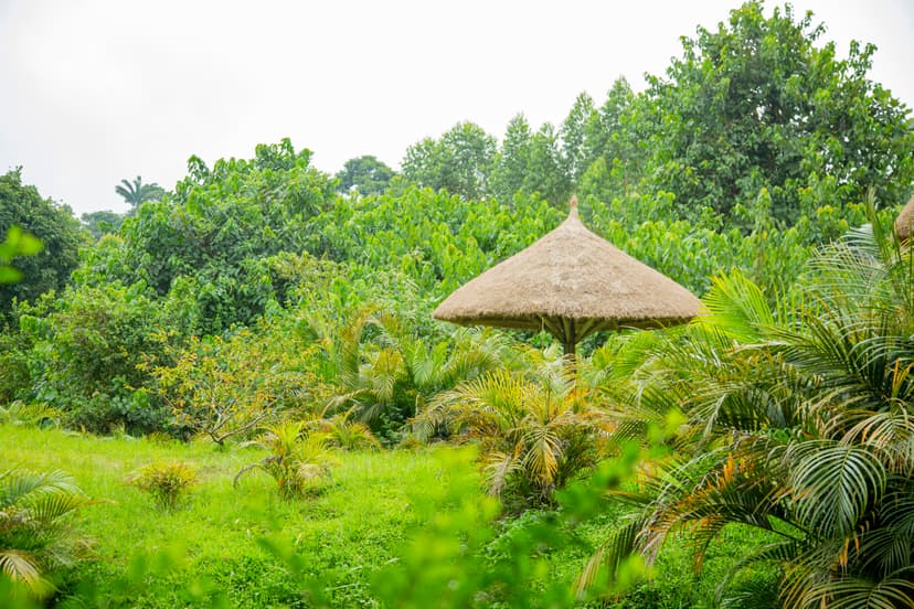 Eco-friendly dining experience