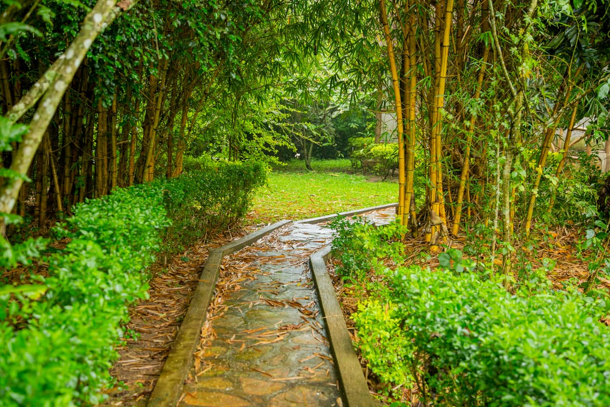 Gardens