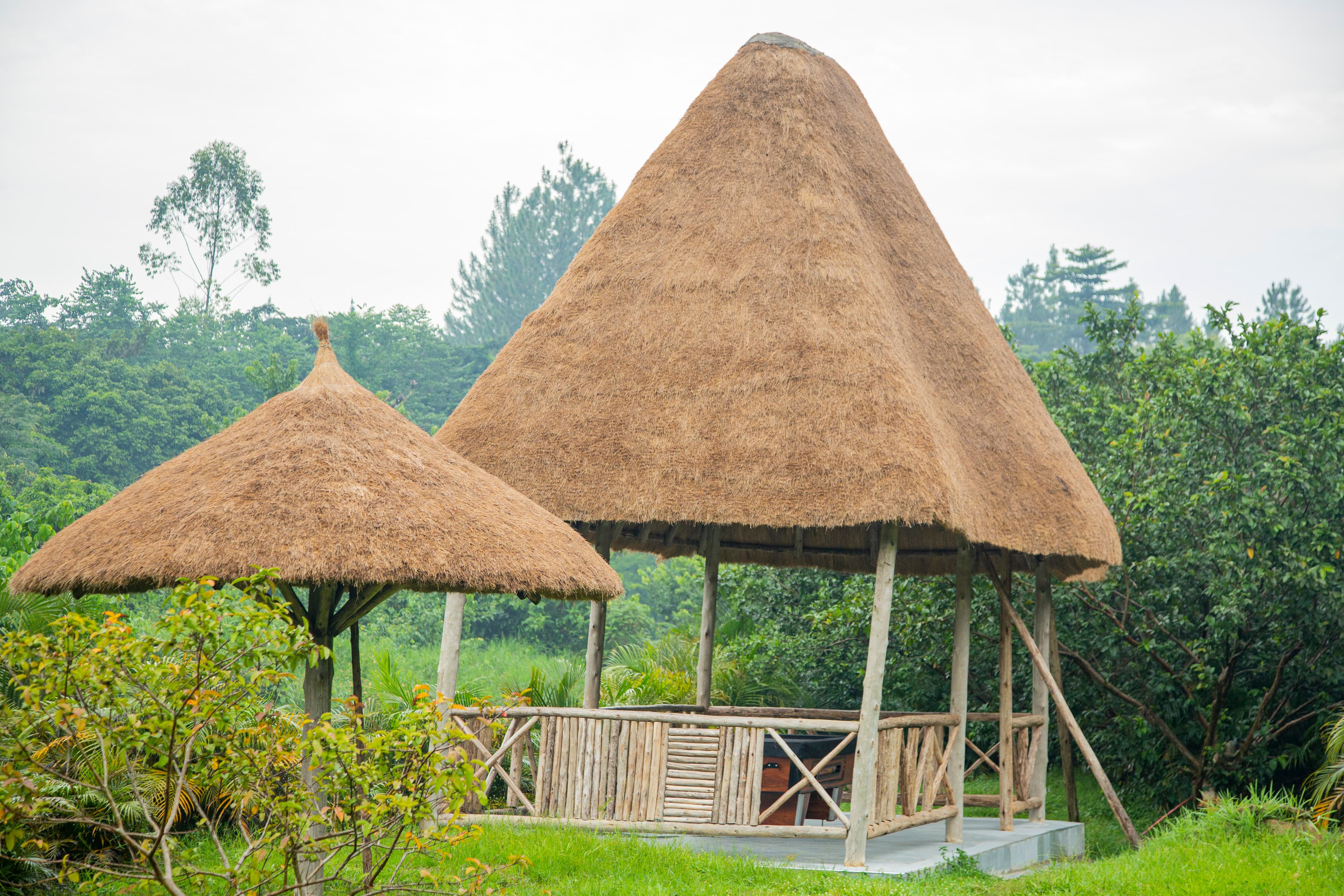 Eco-friendly vacation packages