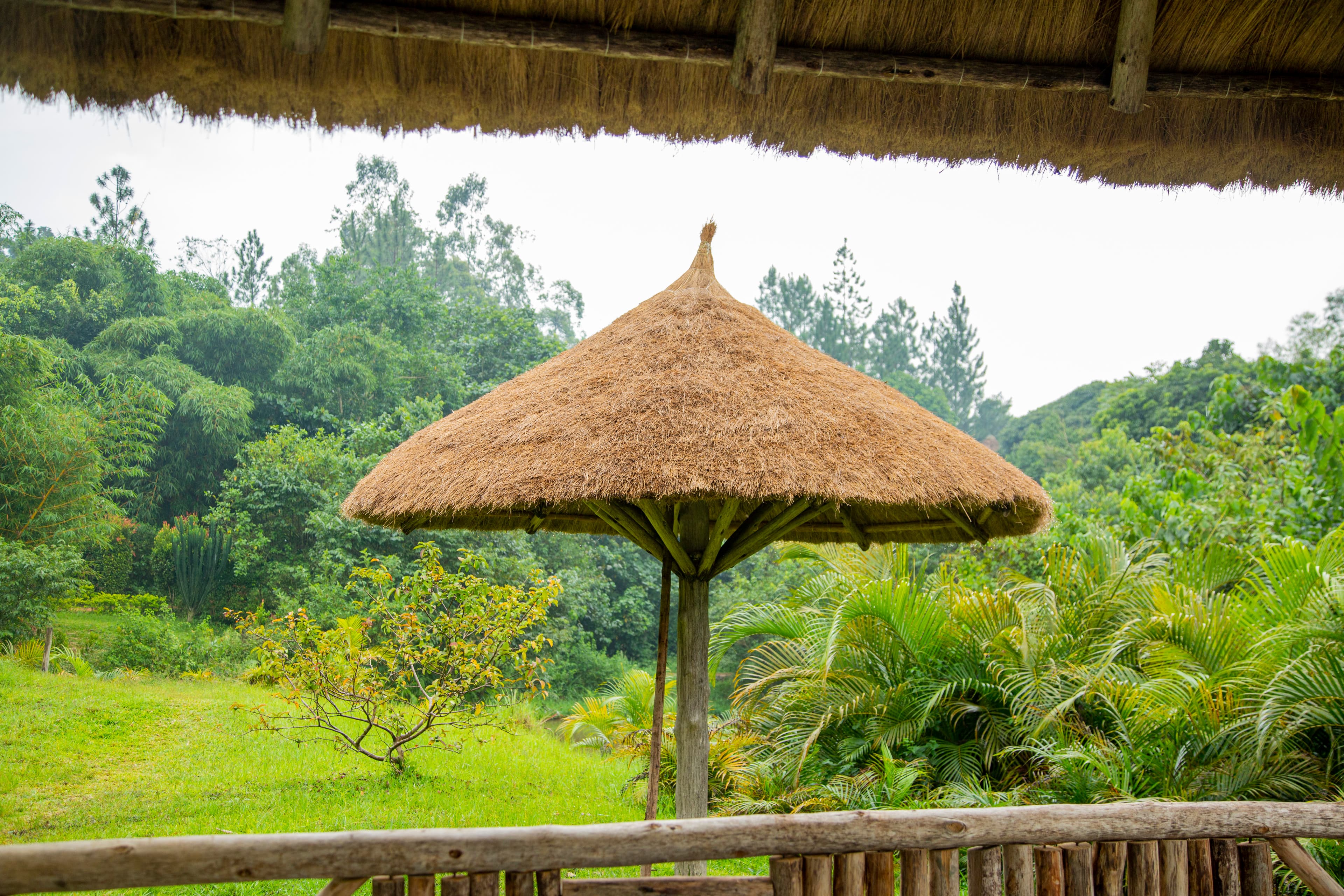 Activities at Ivana's Eco Resort