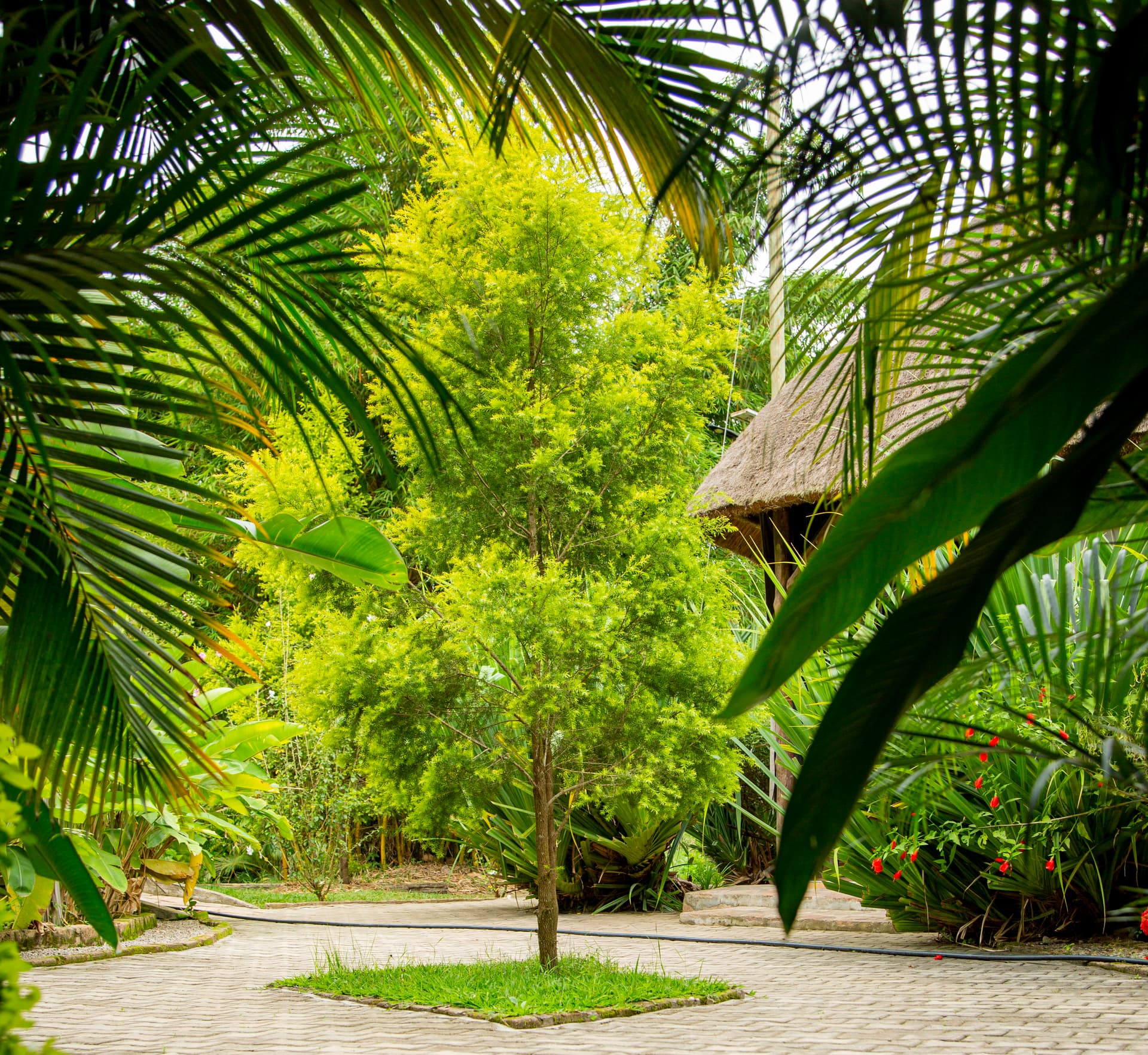 Ivanas Eco Resort