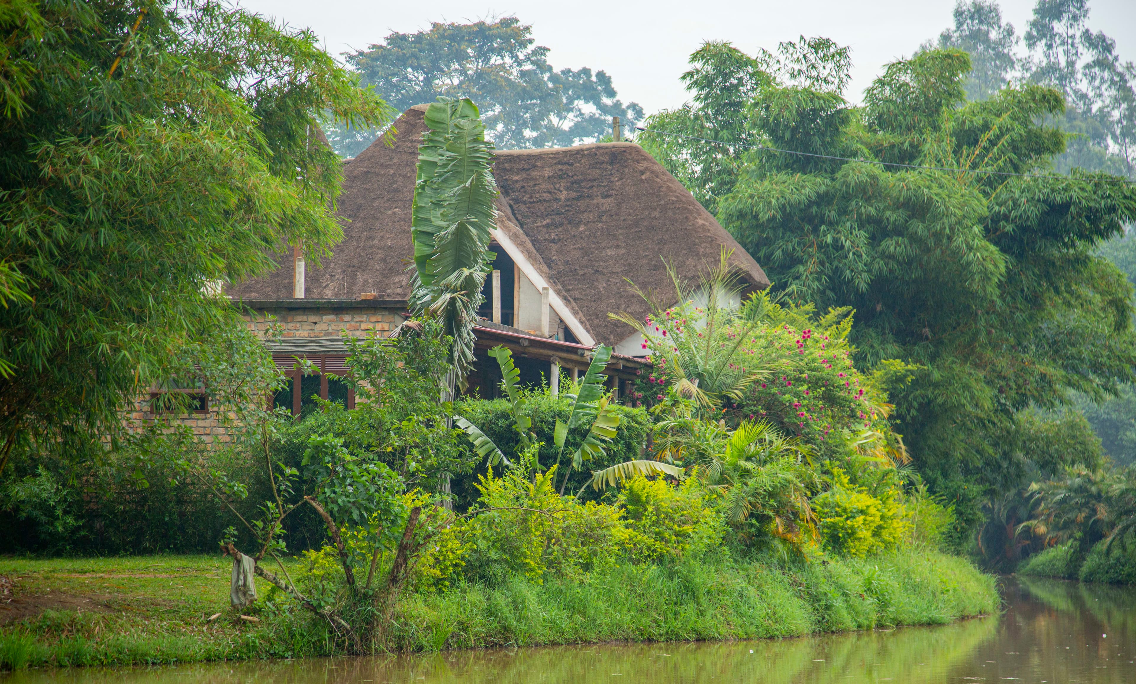 About Ivana's Eco Resort